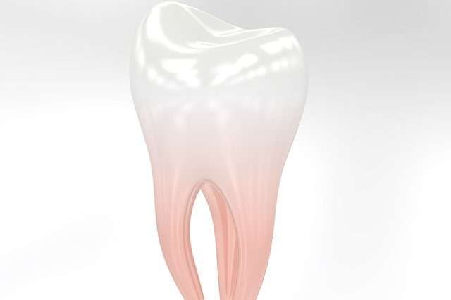 Tooth Icon 3D