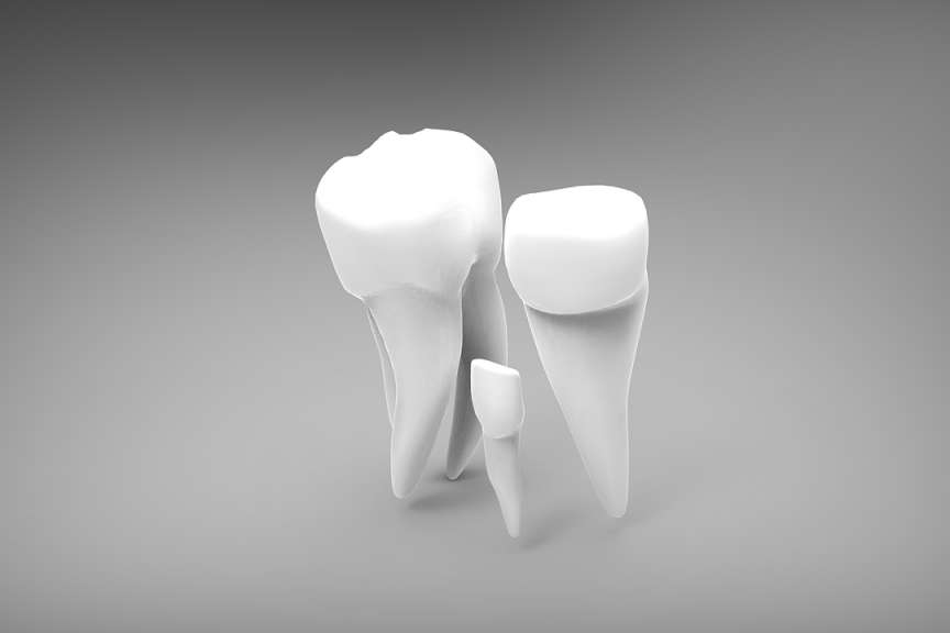 3D Three Teeth